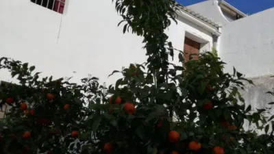 Chalet in Espera photo 7
