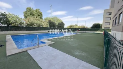 Apartment in Santa Cruz photo 18
