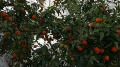 Chalet in Espera photo 6