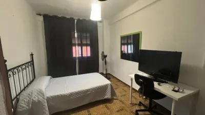 Apartment in Linares photo 3