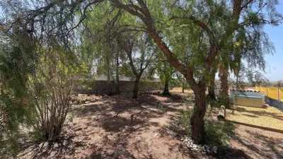 Rustic finca on Calle Paraje Retamares Pol 27 Parc 84 photo 17