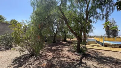 Rustic finca on Calle Paraje Retamares Pol 27 Parc 84 photo 18