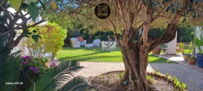 Villa in Atalaya photo 4