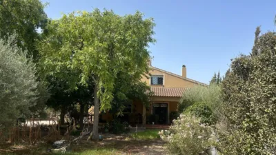 Chalet in Crevillent photo 4