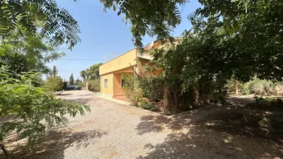 Chalet in Crevillent photo 6