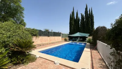 Chalet in Crevillent photo 3