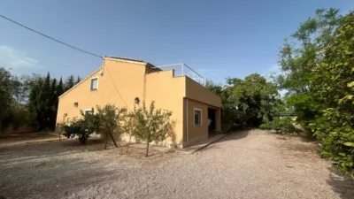 Chalet in Crevillent photo 8