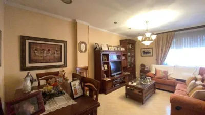 Apartment on Calle del Atleta Antonio Amorós photo 17