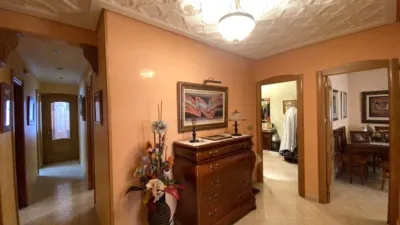 Apartment on Calle del Atleta Antonio Amorós photo 8