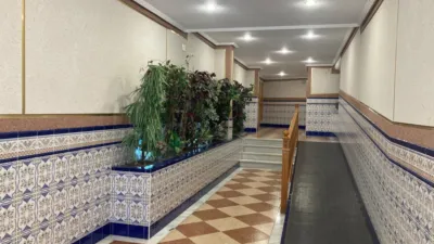 Pis – Torrevieja - Vista 4