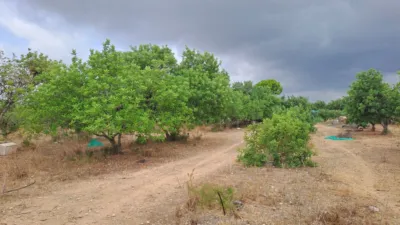 Rustic finca in Vila-Seca