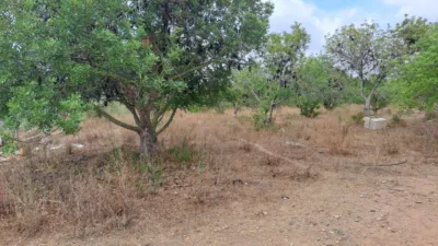 Rustic finca in Vila-Seca photo 2