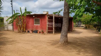 Rustic finca in Vila-Seca photo 8
