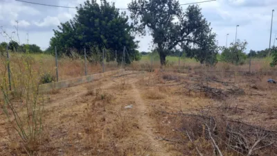 Rustic finca in Vila-Seca photo 3