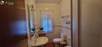 Miniatura 10