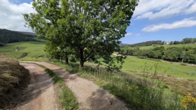 Rustic farm on Calle Las Rias, No. 9 photo 16