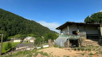 Rustic farm on Calle del Cruce, 27 photo 6