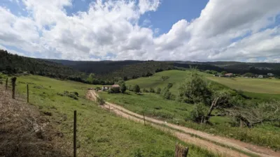 Rustic farm on Calle Las Rias, No. 9 photo 13