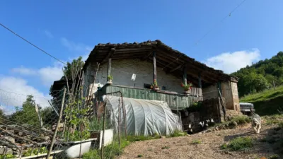 Rustic farm on Calle del Cruce, 27 photo 11