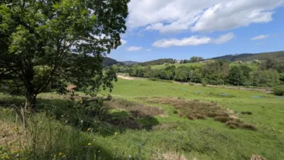 Rustic farm on Calle Las Rias, No. 9 photo 9