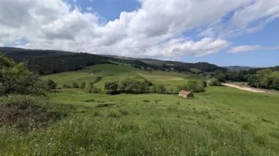 Rustic farm on Calle Las Rias, No. 9 photo 17