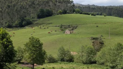 Rustic farm on Calle Las Rias, No. 9 photo 3