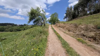 Rustic farm on Calle Las Rias, No. 9 photo 25