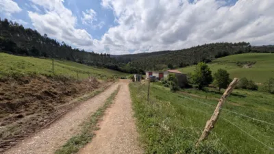 Rustic farm on Calle Las Rias, No. 9 photo 8