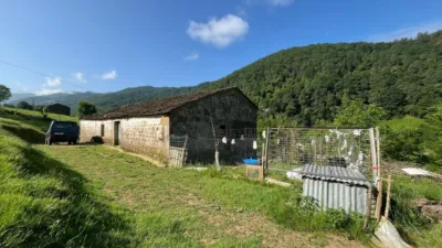 Rustic farm on Calle del Cruce, 27 photo 15