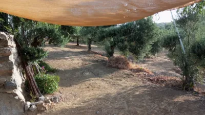 Rustic Finca in Olvera photo 8