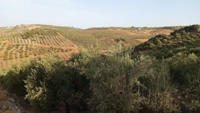 Rustic Finca in Olvera photo 41