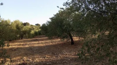 Rustic Finca in Olvera photo 11
