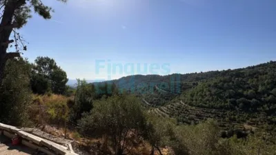 Rustic Finca in Albiol (L`) photo 13