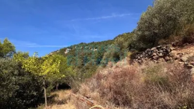 Rustic Finca in Albiol (L`) photo 49