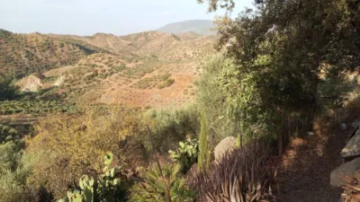 Rustic Finca in Olvera photo 22