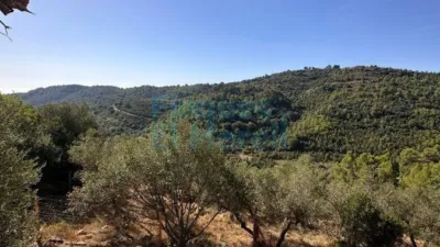 Rustic Finca in Albiol (L`) photo 54