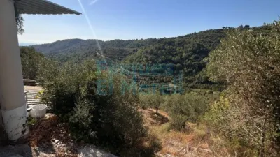 Rustic Finca in Albiol (L`) photo 90