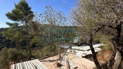 Rustic Finca in Albiol (L`) photo 100