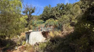Rustic Finca in Albiol (L`) photo 50