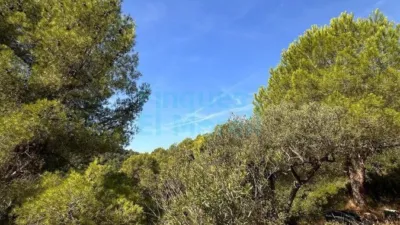 Rustic Finca in Albiol (L`) photo 59
