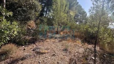 Rustic Finca in Albiol (L`) photo 83