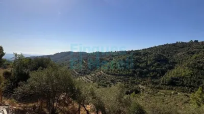 Rustic Finca in Albiol (L`) photo 76
