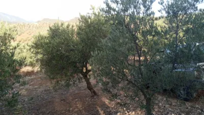 Rustic Finca in Olvera photo 13