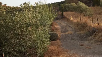 Rustic Finca in Olvera photo 38
