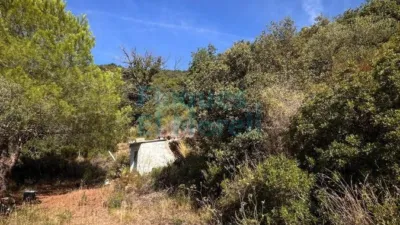 Rustic Finca in Albiol (L`) photo 36