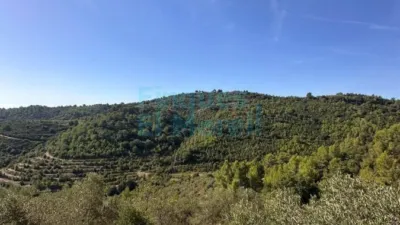 Rustic Finca in Albiol (L`) photo 61