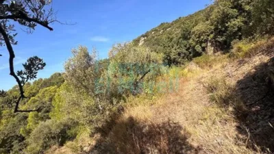 Rustic Finca in Albiol (L`) photo 92