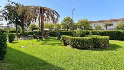 Apartment in Playa photo 41