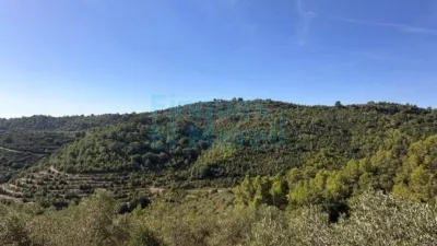 Rustic Finca in Albiol (L`) photo 40