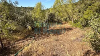 Rustic Finca in Albiol (L`) photo 89
